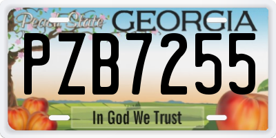 GA license plate PZB7255