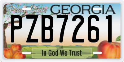 GA license plate PZB7261