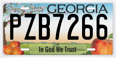 GA license plate PZB7266
