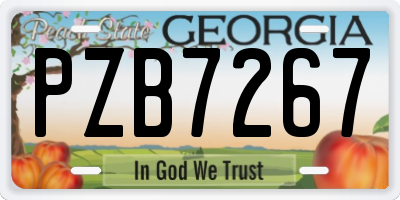 GA license plate PZB7267
