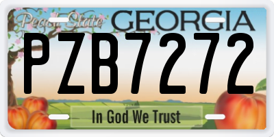 GA license plate PZB7272