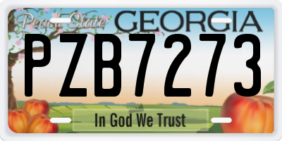 GA license plate PZB7273