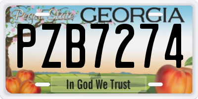 GA license plate PZB7274