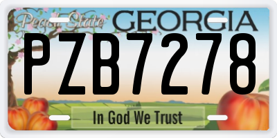 GA license plate PZB7278