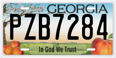 GA license plate PZB7284