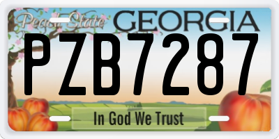 GA license plate PZB7287