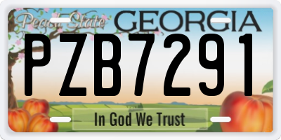 GA license plate PZB7291