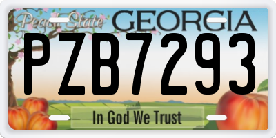 GA license plate PZB7293