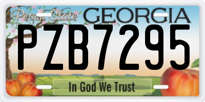 GA license plate PZB7295