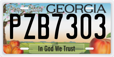 GA license plate PZB7303
