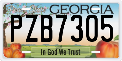GA license plate PZB7305