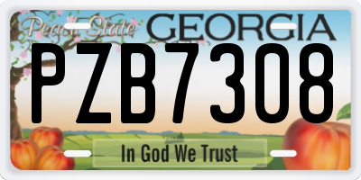 GA license plate PZB7308