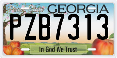 GA license plate PZB7313