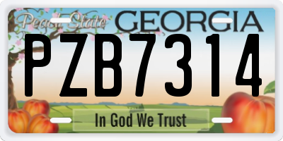 GA license plate PZB7314