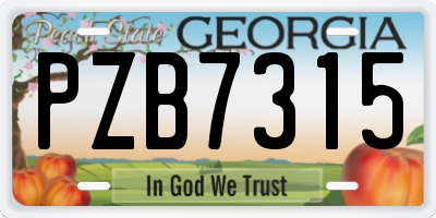 GA license plate PZB7315