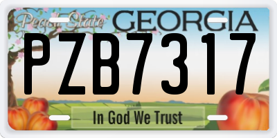 GA license plate PZB7317