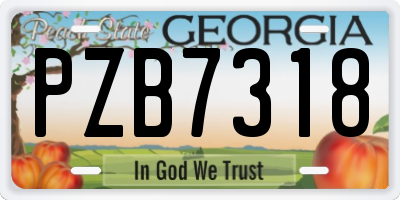 GA license plate PZB7318