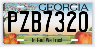 GA license plate PZB7320