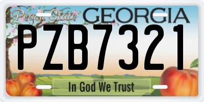 GA license plate PZB7321