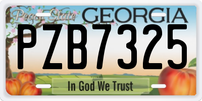 GA license plate PZB7325