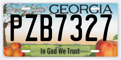 GA license plate PZB7327