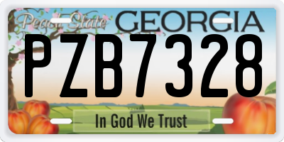 GA license plate PZB7328