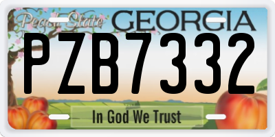 GA license plate PZB7332