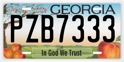 GA license plate PZB7333