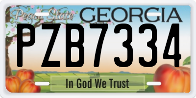 GA license plate PZB7334