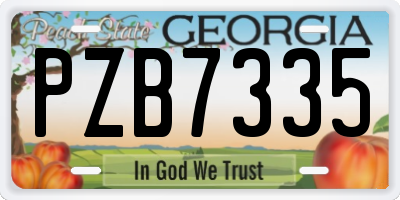 GA license plate PZB7335