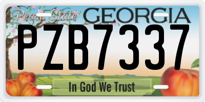 GA license plate PZB7337