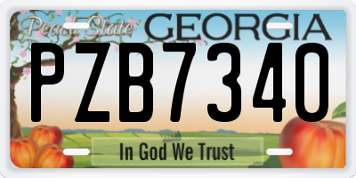 GA license plate PZB7340