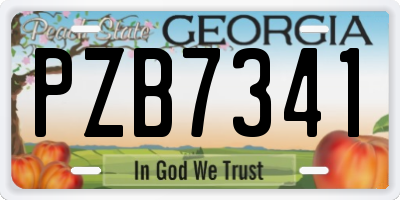 GA license plate PZB7341