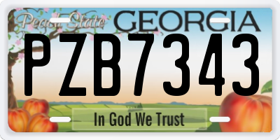 GA license plate PZB7343