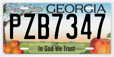 GA license plate PZB7347