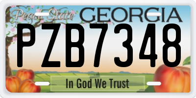GA license plate PZB7348