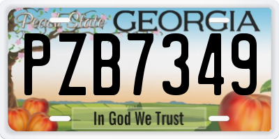 GA license plate PZB7349