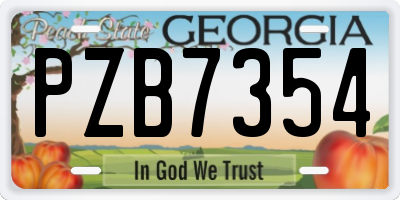 GA license plate PZB7354