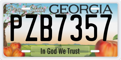 GA license plate PZB7357