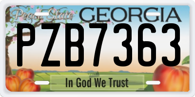 GA license plate PZB7363