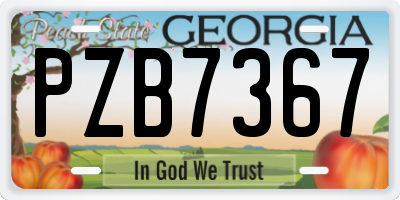 GA license plate PZB7367
