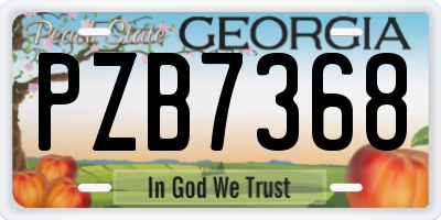 GA license plate PZB7368