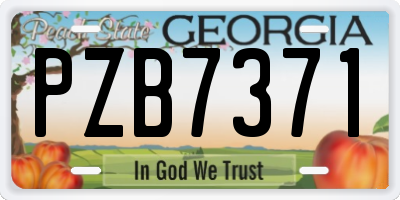 GA license plate PZB7371