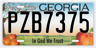 GA license plate PZB7375