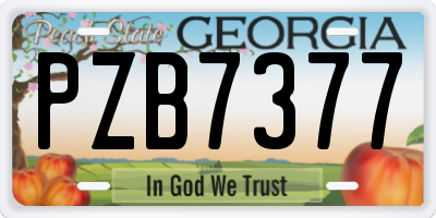 GA license plate PZB7377