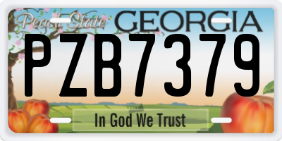 GA license plate PZB7379
