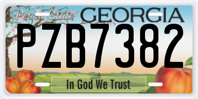 GA license plate PZB7382