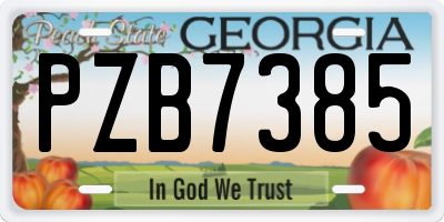 GA license plate PZB7385