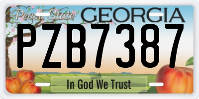 GA license plate PZB7387