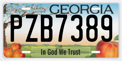 GA license plate PZB7389